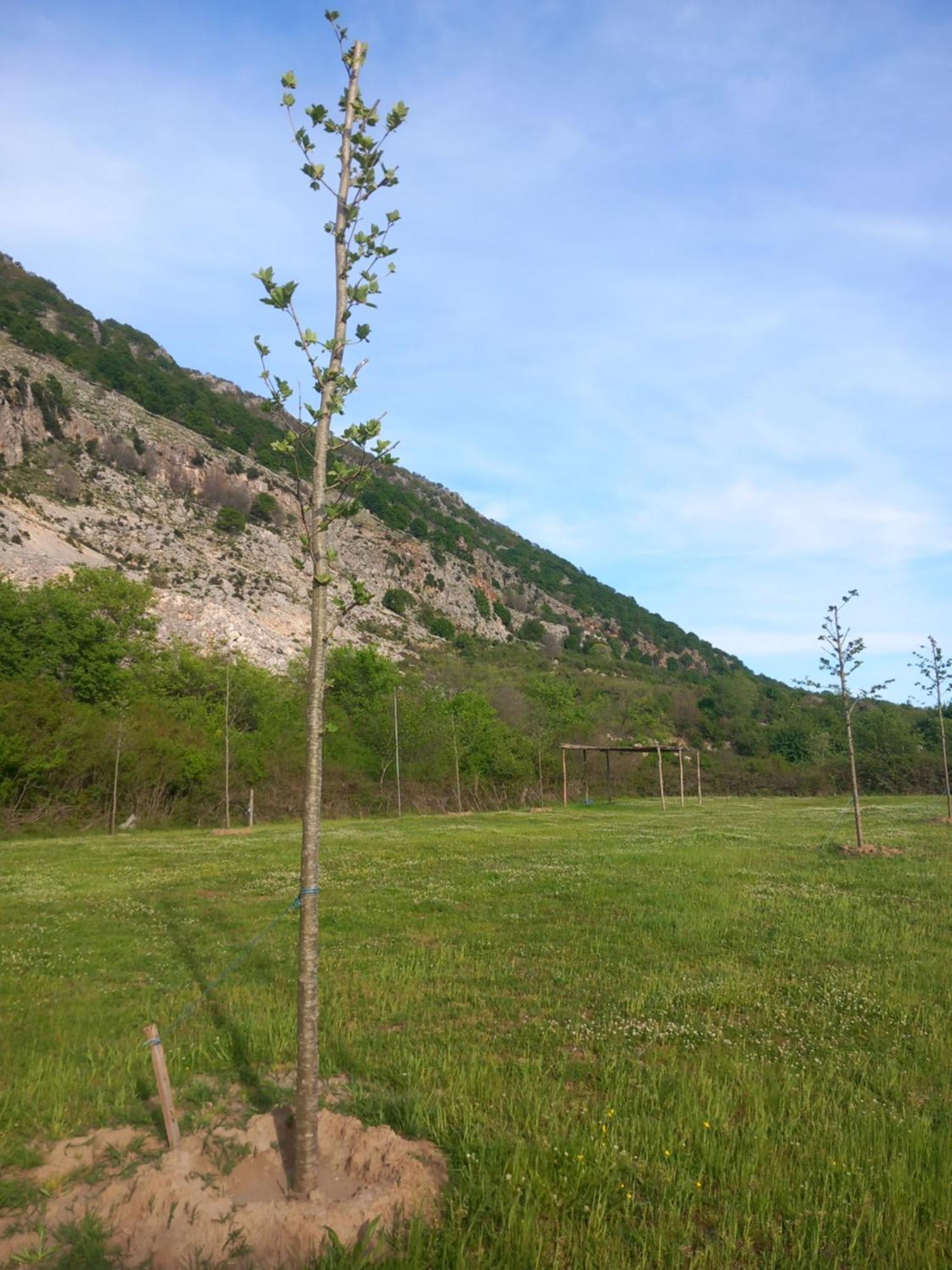 Camping Gjelaj Hotel Baks-Rrjoll Kültér fotó